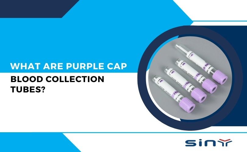 What Are Purple Cap Blood Collection Tubes?